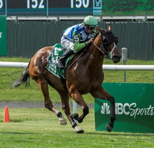 Hawksmoor (IRE) wins the 2017 New York Stakes (G2T)