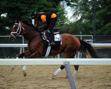 Patch - Belmont Park, June 3, 2017