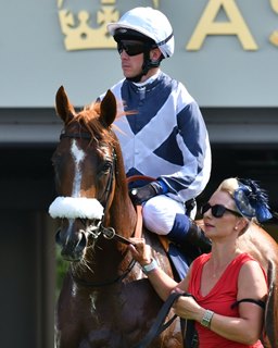 Ulysses, earlier this season at Royal Ascot