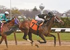 True Timber Spikes Fever, Will Miss Belmont Stakes True Timber Spikes Fever, Will Miss Belmont Stakes