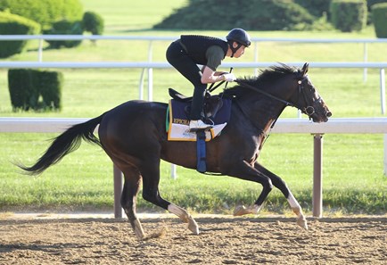 Epicharis - Belmont Park, June 4, 2017