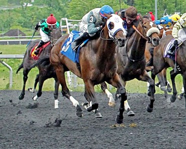 Natural Wonder wins the 2017 Satin and Lace Stakes