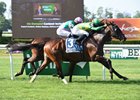 Ballagh Rocks holds off Projected to score his first graded victory in the Poker Stakes