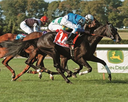 Better Talk Now asserts himself again in Man o'War win.