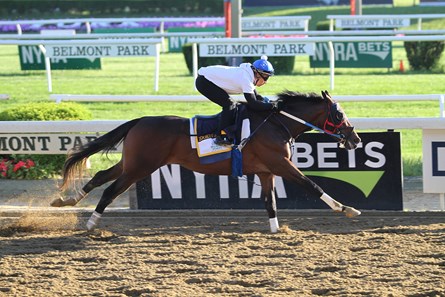 Lookin At Lee - Belmont Park - June 4, 2017