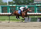 Firenze Fire First Winner for Poseidon's Warrior Firenze Fire First Winner for Poseidon's Warrior