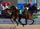 Holy Helena scores in the Woodbine Oaks