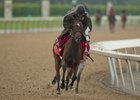 Enstone gallops at Woodbine June 8
