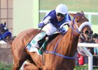 Birdie Gold wins the Gran Premio Pamplona and a berth into the Filly & Mare Turf