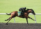 Hip 573, an Uncle Mo colt, breezed a quarter-mile in :20 4/5.