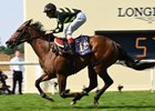 Lady Aurelia runs away from the competition in the King's Stand