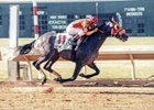 Skip Away Hit His Stride in Ohio Derby Skip Away Hit His Stride in Ohio Derby