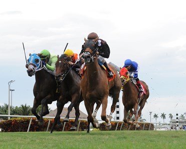 Somethingelse wins the 2017 Ginger Punch Stakes