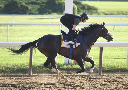 Epicharis - Belmont Park, June 4, 2017