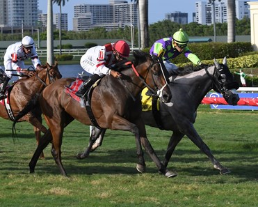 Mystic Sky wins the 2017 Soldier's Dancer Stakes