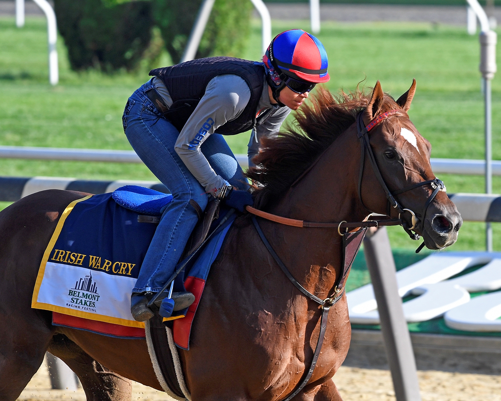 Belmont Stakes: Epicharis didn't train Friday, could run Saturday