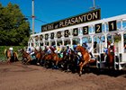 Racing at the Alameda County Fair in Pleasanton