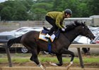 Epicharis training at Belmont Park