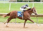 First Starter Gets It Done for Freshman Sire El Padrino First Starter Gets It Done for Freshman Sire El Padrino