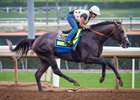 Arrogate Gets Back to Work at Santa Anita Arrogate Gets Back to Work at Santa Anita