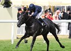 Caravaggio wins the 2017 Commonwealth Cup at Royal Ascot