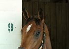 Big World's last win was the grade 1 La Troienne Stakes at Churchill Downs in May