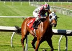 Indian Evening's First Winner Goes Gate-to-Wire Indian Evening's First Winner Goes Gate-to-Wire