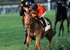 Sweeping Paddy wins the 2017 Regret Stakes