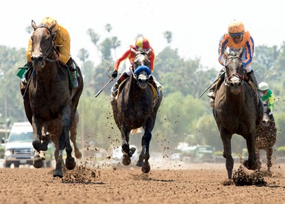 Bendable wins the 2017 Desert Stormer Stakes (G3)