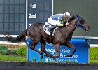 I'm Corfu wins a June 13 maiden race at Presque Isle Downs