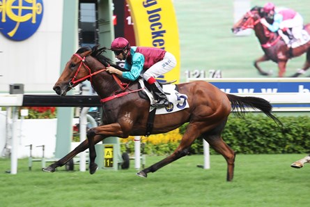 Beat The Clock impresses with his win in the Hong Kong University Alumni Association Challenge Cup Handicap under Joao Moreira at Sha Tin Racecourse on June 11 2017