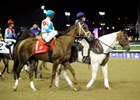 The Todd Pletcher-trained Life At Ten during the 2010 Breeders' Cup Ladies' Classic post parade