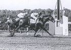 Tom Fool wins the 1953 Metropolitan Handicap