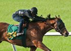 An Astrology filly, Hip 631, worked in : 20 4/5 on the last day of the OBS June under tack show