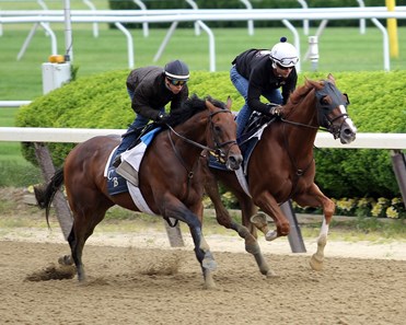 Twisted Tom (inside) and Economic Model - Belmont Park, June 3, 2017
