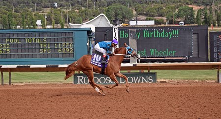 On the Low Down winning the 2017 Mountain Top Futurity