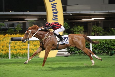 Time Warp sets a new 1800m course record with an easy win in the Class 2 Wyndham Handicap for Tony Cruz and Alvin Ng