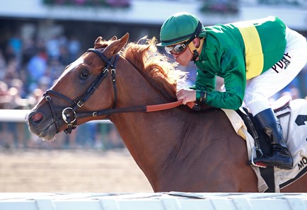 Timeline wins the 2017 Pegasus Stakes (G3)