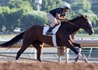 Paradise Woods works at Santa Anita June 18