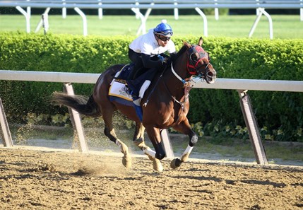 Lookin At Lee - Belmont Park - June 4, 2017