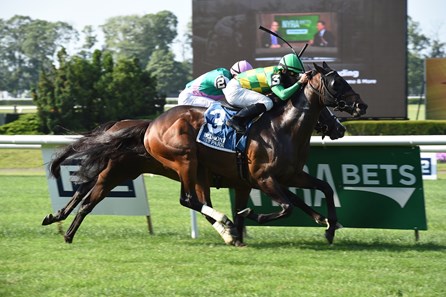 Ballagh Rocks wins the 2017 Poker Stakes (G3T)