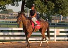 Coaching Club Likely Next for Acorn Runner-Up Salty Coaching Club Likely Next for Acorn Runner-Up Salty