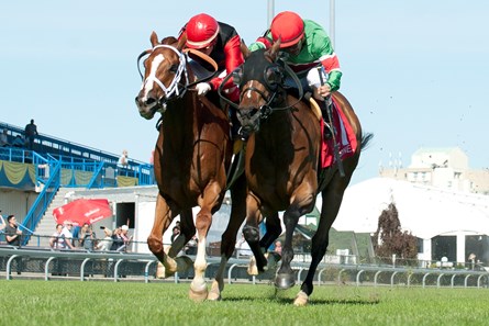 Jockey Eurico Da Silva guides Tower of Texas (R) past Calgary Cat (red and black silks) to capture the 2017 Connaught Cup Stakes