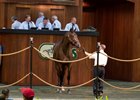 Hip 199 sold for a final bid of $400,000
