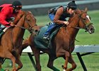 Faversham (inside) works at Los Alamitos Race Course June 3
