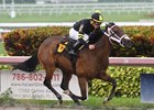 Happy River wins first time out at Gulfstream Park June 9