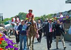 Abel Tasman Too Strong in Acorn Abel Tasman Too Strong in Acorn