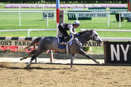 Mohaymen - Belmont Park - June 4, 2017