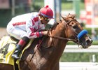 Collected Dominant Again in Precisionist Stakes Collected Dominant Again in Precisionist Stakes