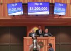 Belmont Stakes winner Tapwrit sells as Hip 34 at the 2015 Fasig-Tipton Saratoga yearling sale